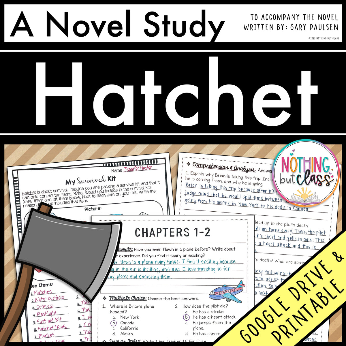 hatchet the book drawings