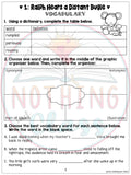 Runaway Ralph Novel Study Unit
