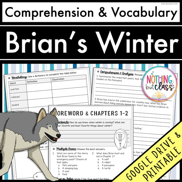 Brian's Winter | Comprehension and Vocabulary