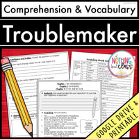 Troublemaker | Comprehension and Vocabulary