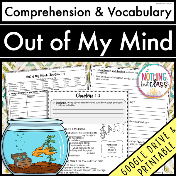 Out of My Mind | Comprehension and Vocabulary
