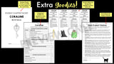 Coraline Novel Study Unit