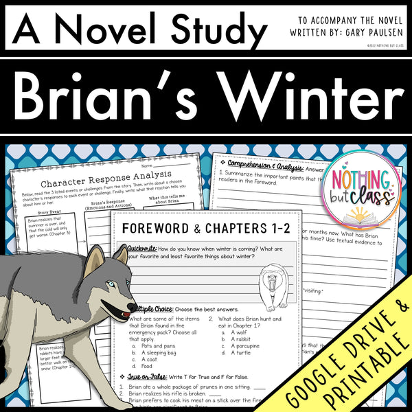 Brian's Winter Novel Study Unit