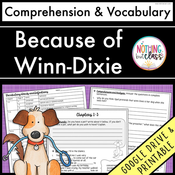 Because of Winn-Dixie | Comprehension and Vocabulary