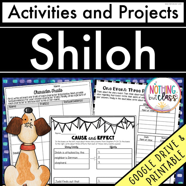 Shiloh | Activities and Projects