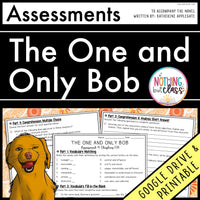 The One and Only Bob | Assessments